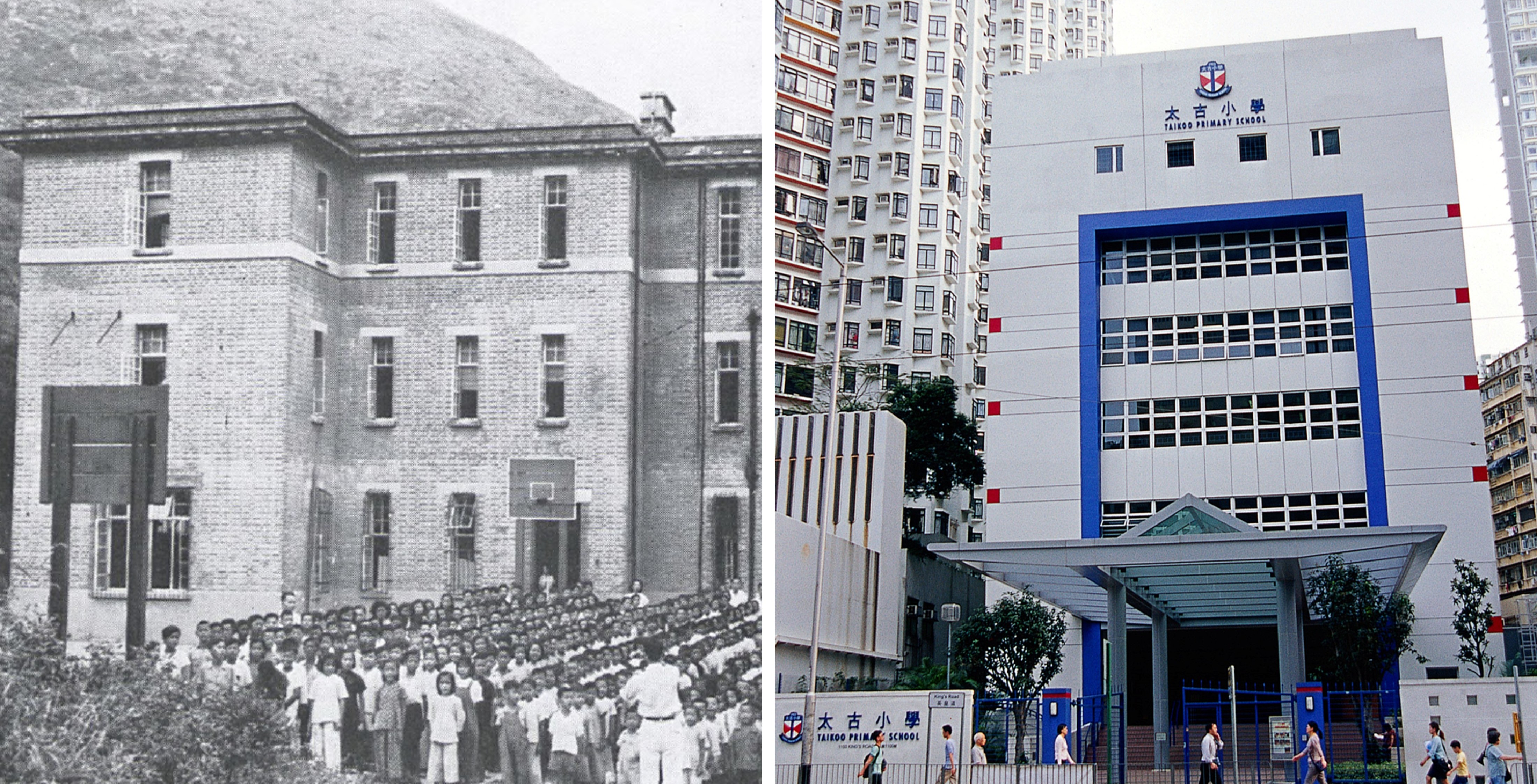 Swire Pacific Group Logo 太古集團標誌