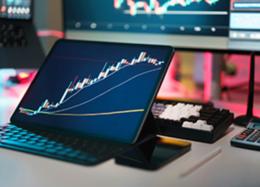 Stock and Credit Information Image