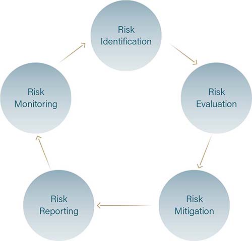 Group ERM Process Image