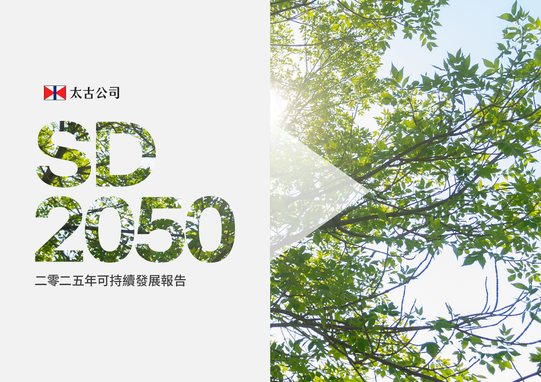 可持续发展报告 图片